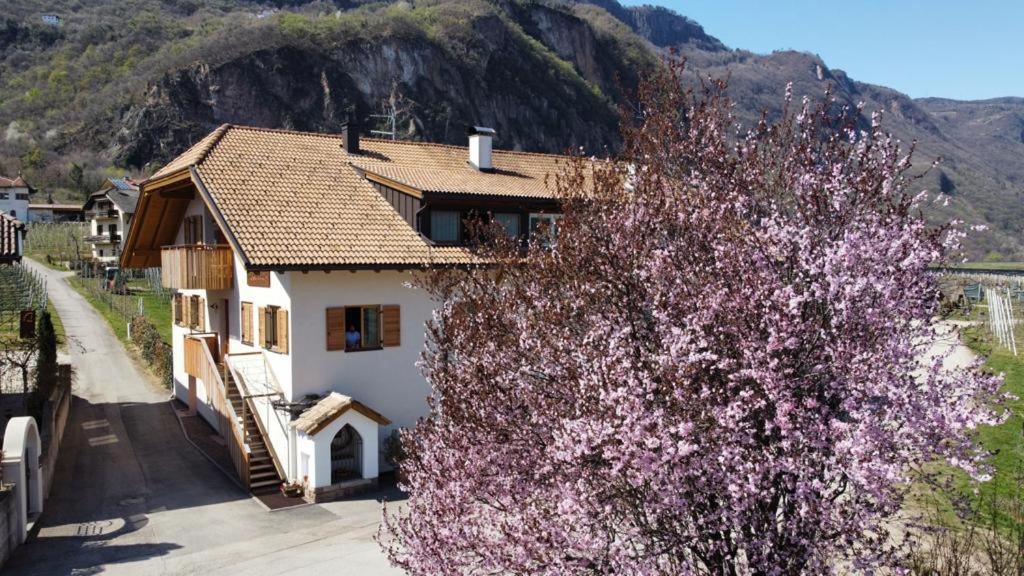 Versigglhof Appiano Sulla Strada Del Vino Eksteriør bilde