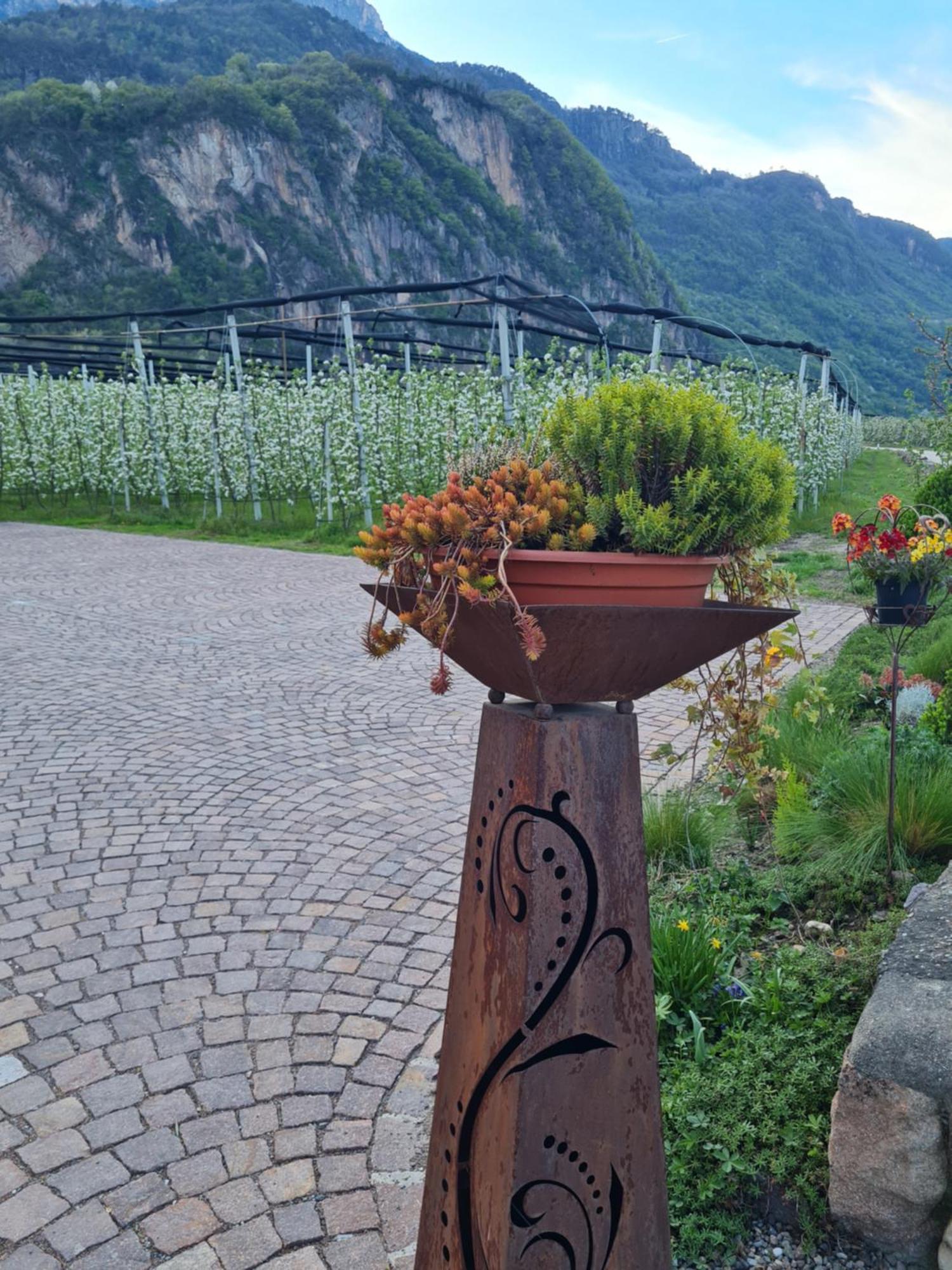 Versigglhof Appiano Sulla Strada Del Vino Eksteriør bilde