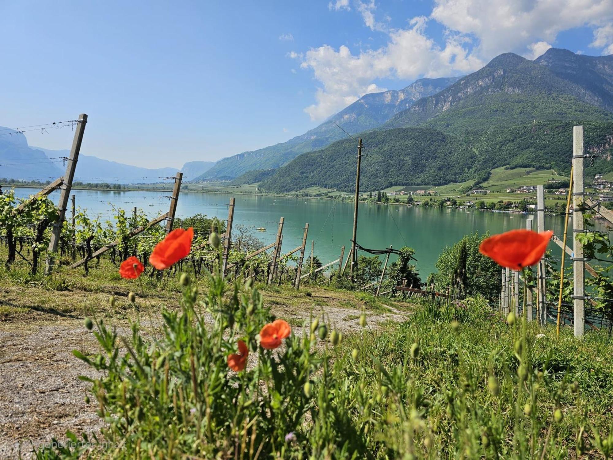 Versigglhof Appiano Sulla Strada Del Vino Eksteriør bilde