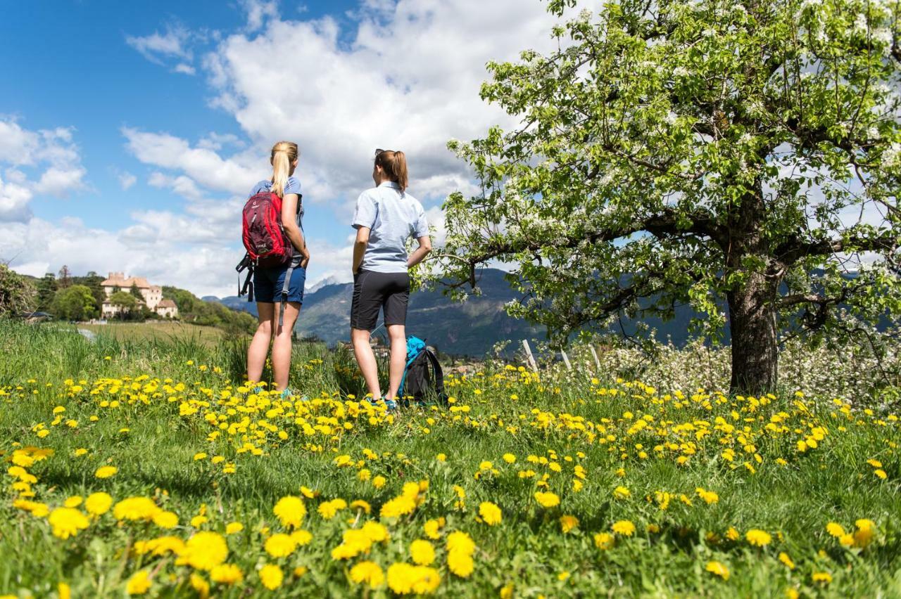 Versigglhof Appiano Sulla Strada Del Vino Eksteriør bilde